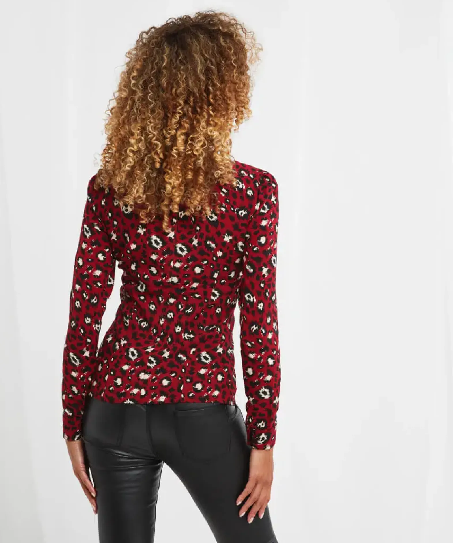 Amazing Animal Zip Top