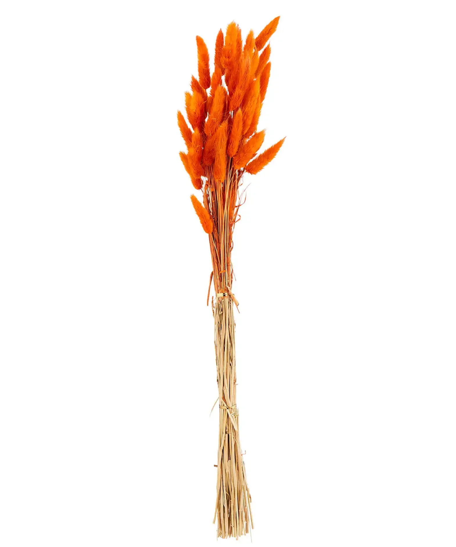 Beautiful Faux Bunny Tail Grass