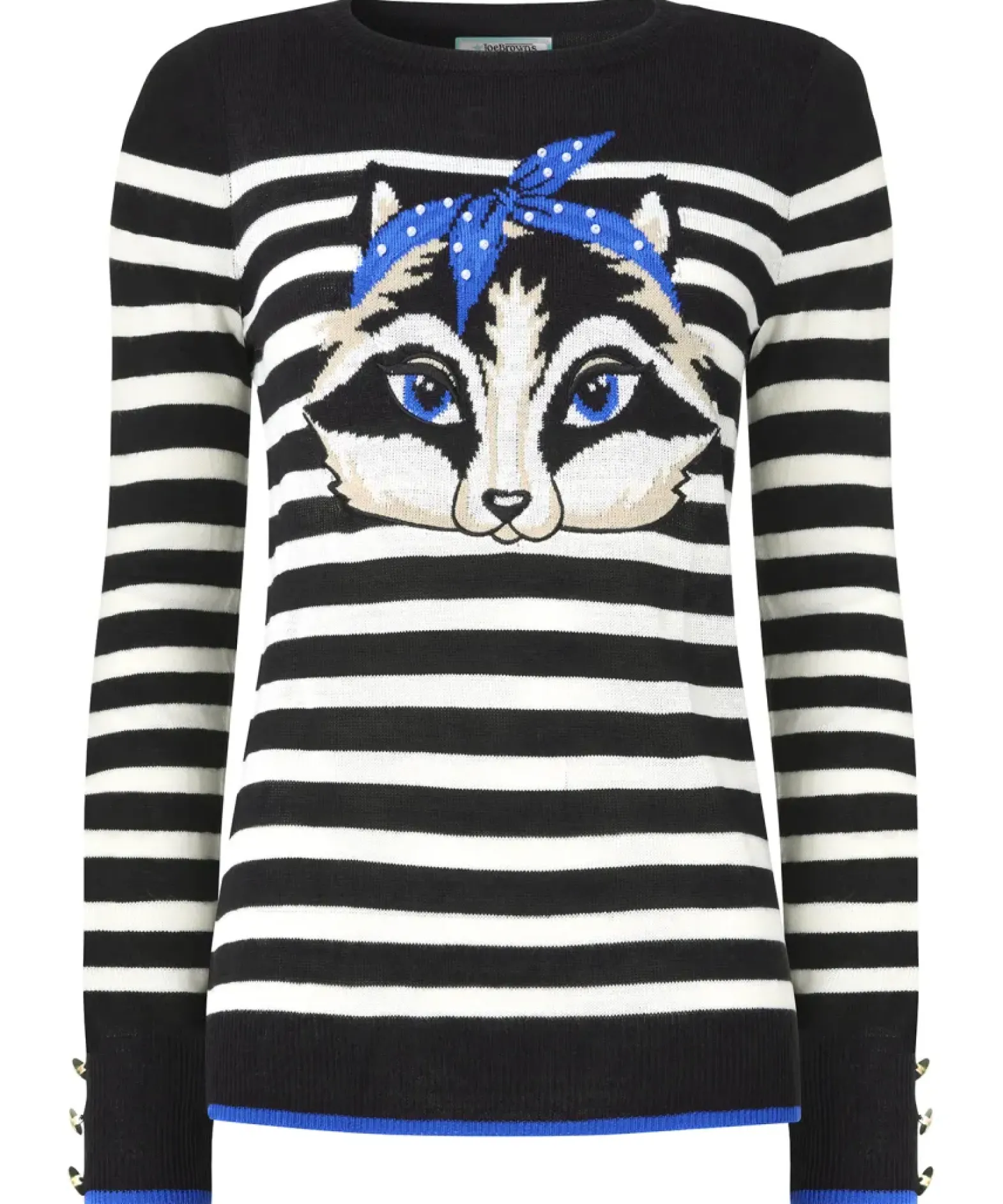Curiously Cute Raccoon Jumper