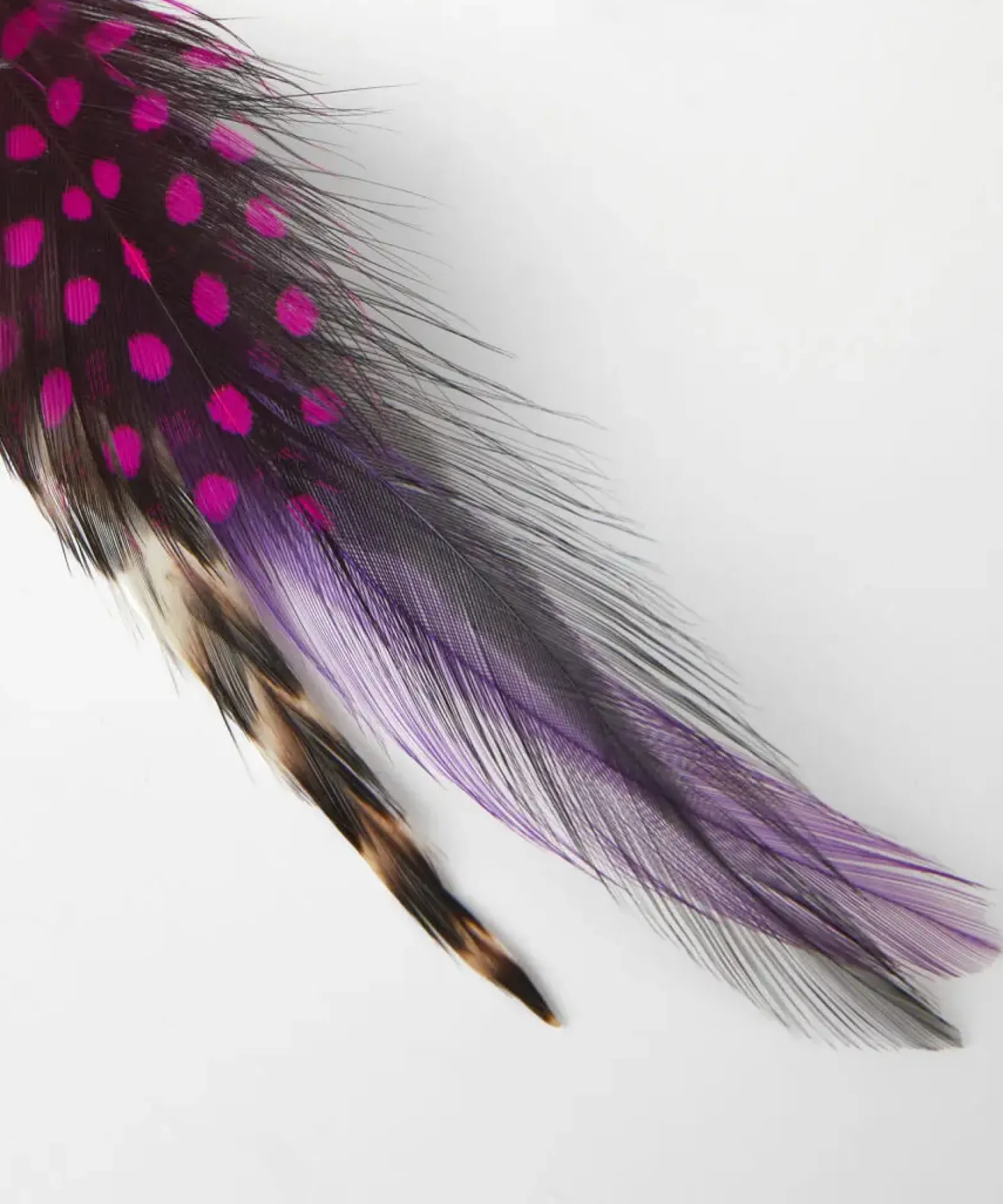Vibrant Feather Pin